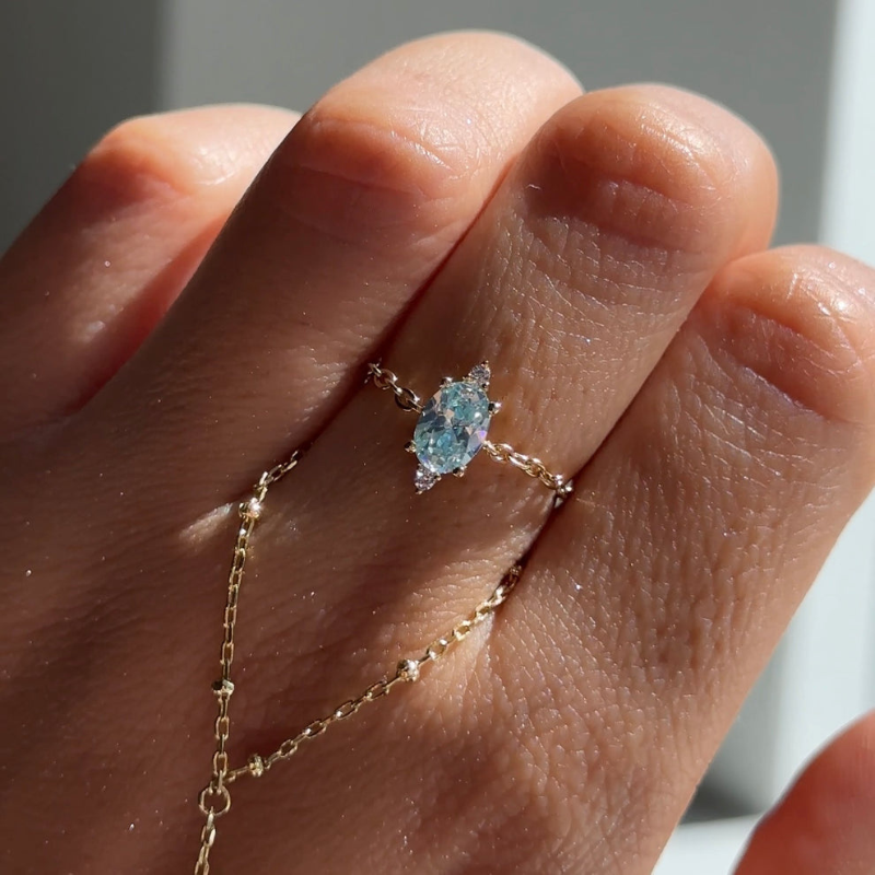 Adjustable Chain Ring