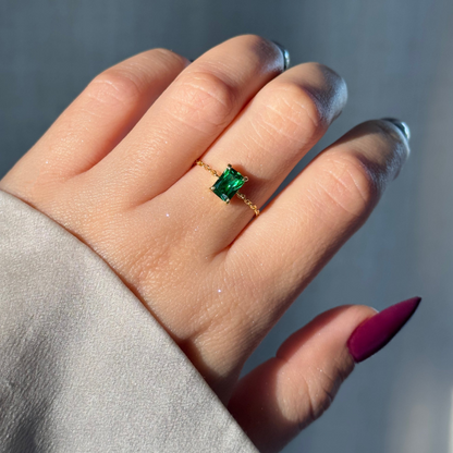 Adjustable Chain Ring